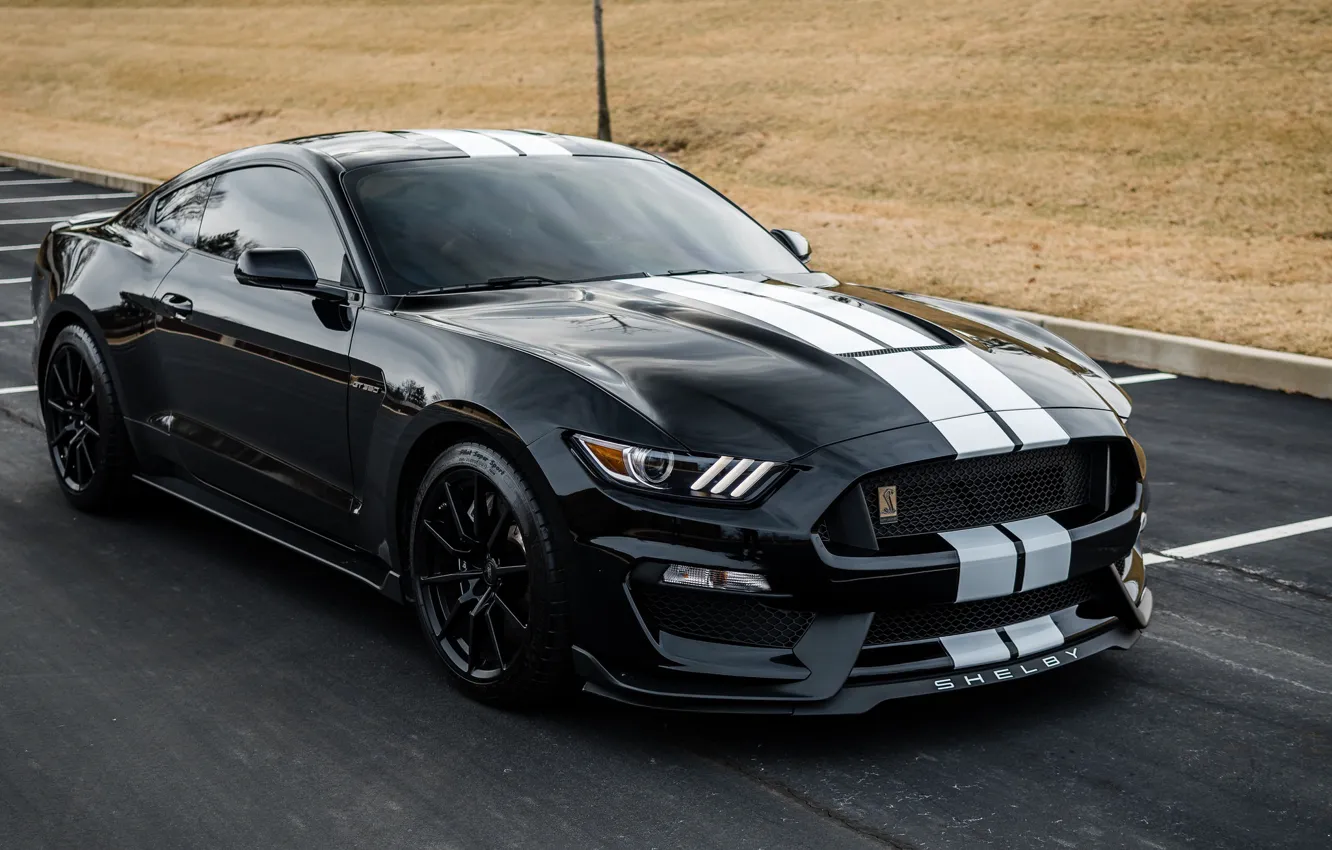 Photo wallpaper shelby, black, 350