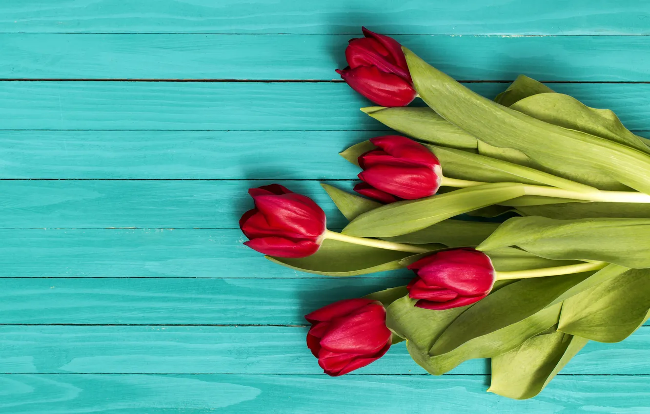 Photo wallpaper flowers, bouquet, tulips, red, red, flowers, tulips, spring