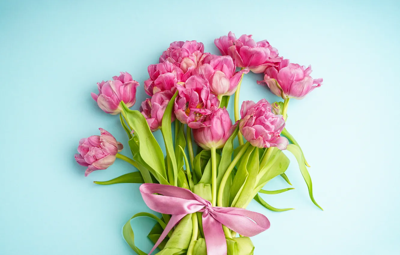 Photo wallpaper flowers, bouquet, tulips, pink, pink, flowers, beautiful, tulips