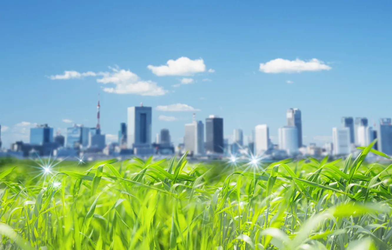 Photo wallpaper grass, the city, skyscrapers, 151