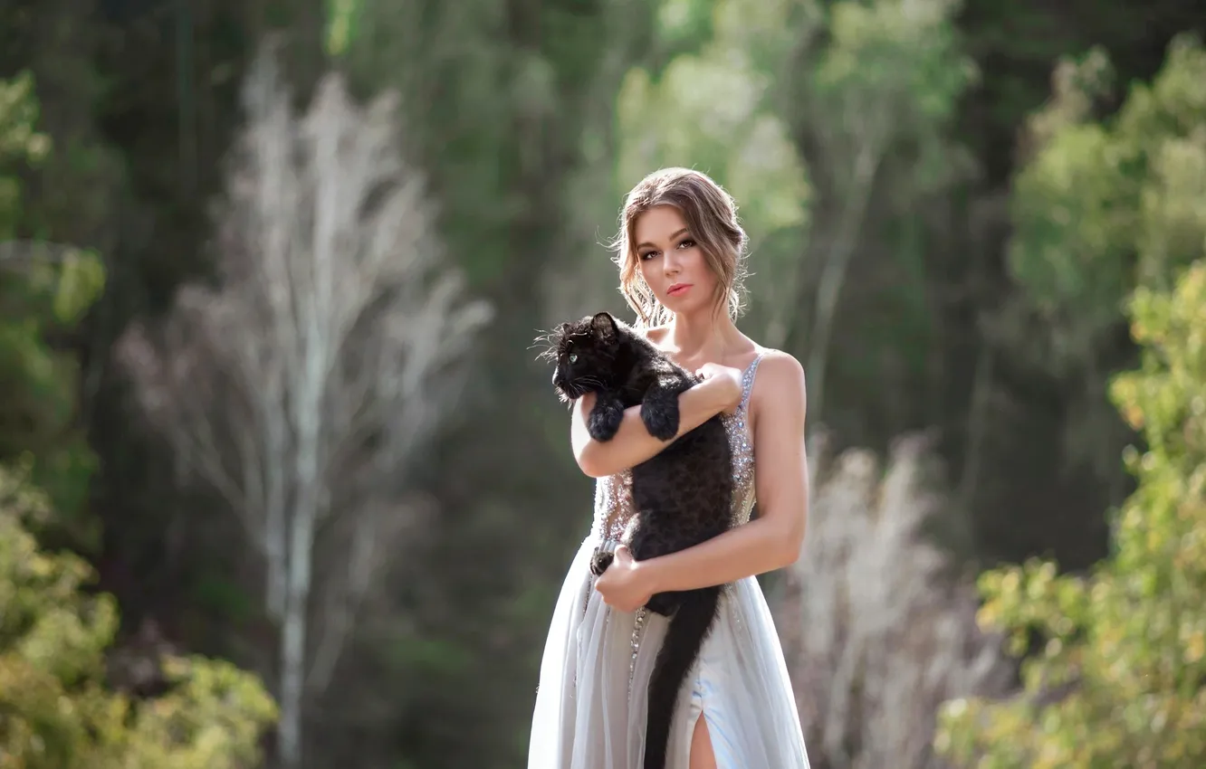 Photo wallpaper forest, cat, summer, girl, nature, Park, each, black