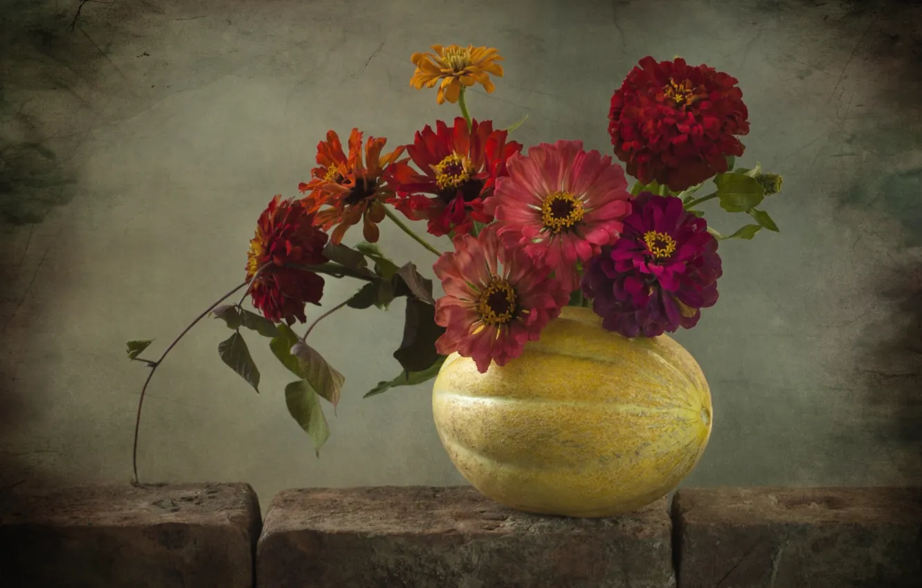 Photo wallpaper composition, melon, zinnia