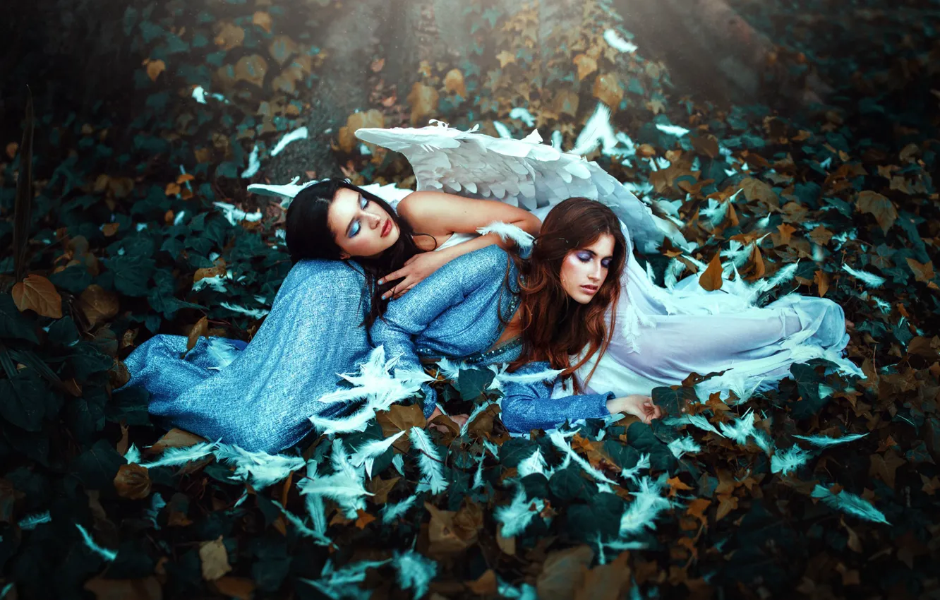 Photo wallpaper background, girls, wings, feathers, lie