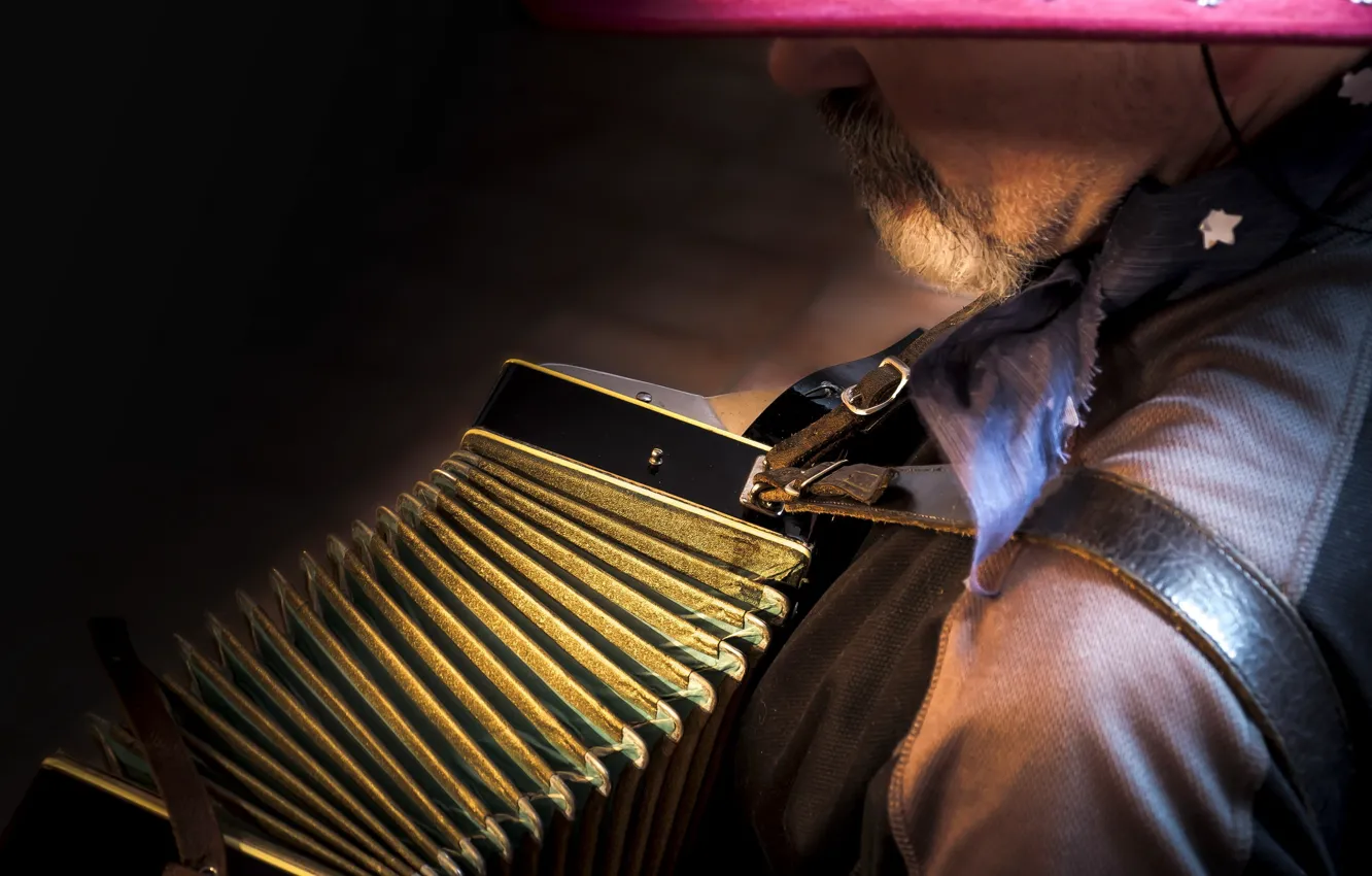 Photo wallpaper Accordion music, musician, accordion