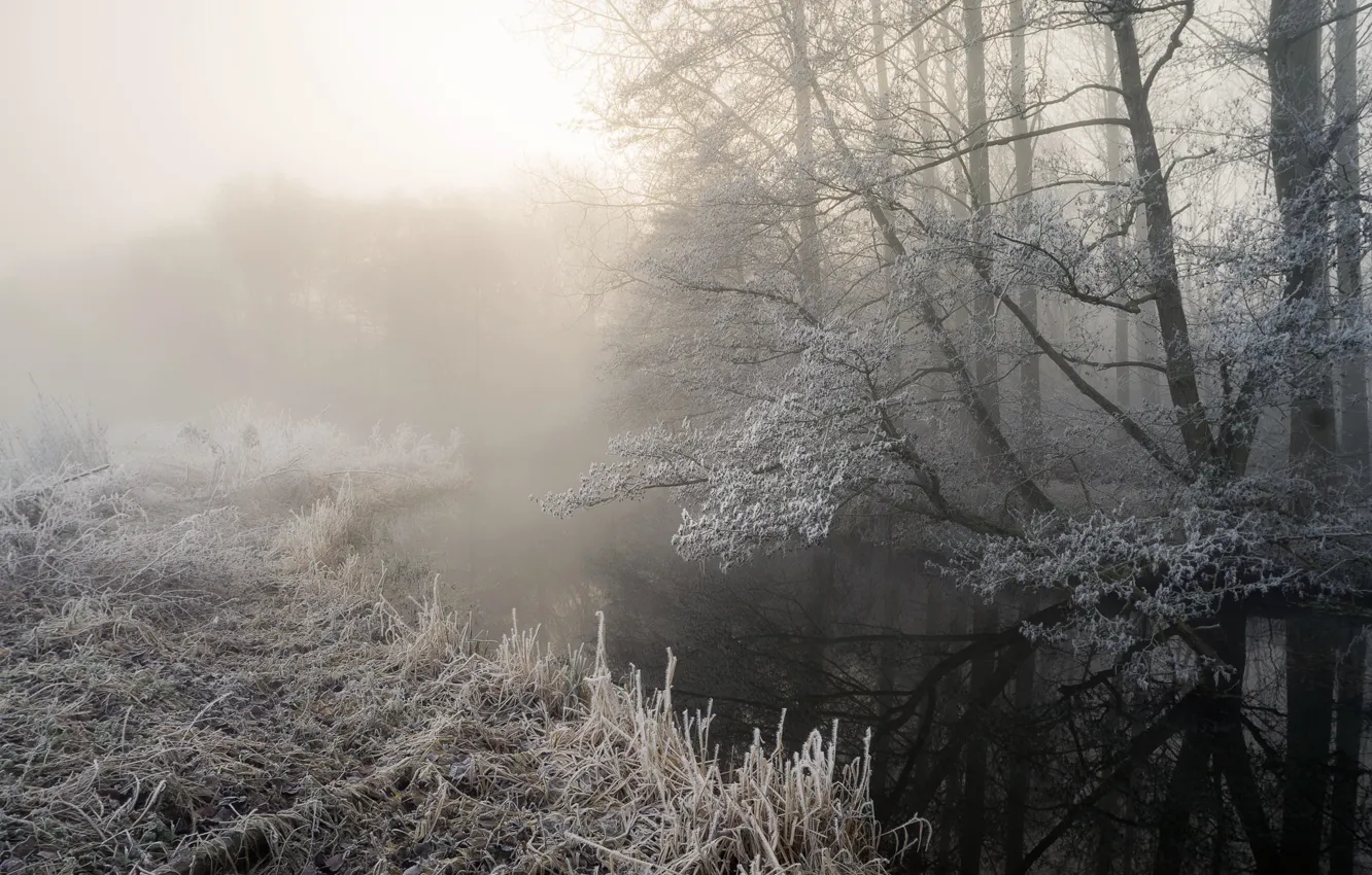 Photo wallpaper winter, frost, fog, river