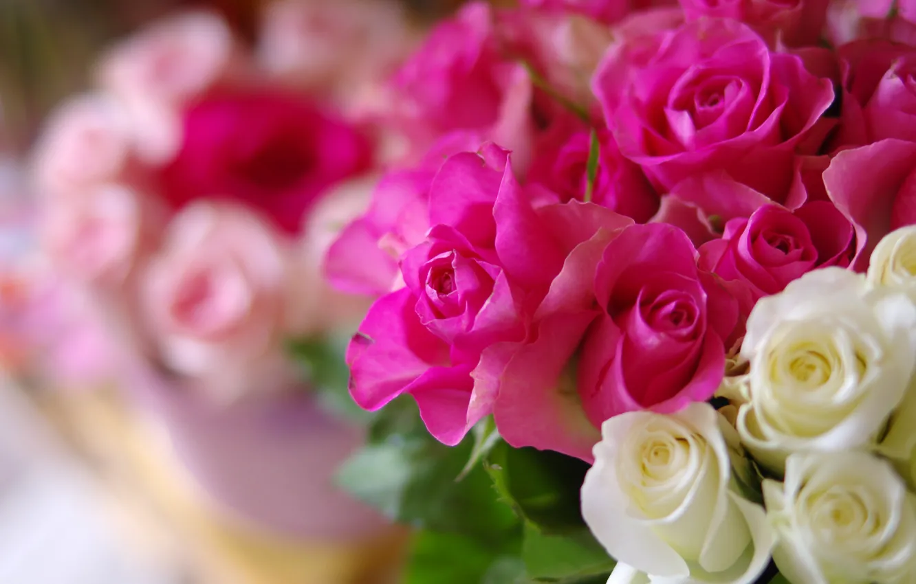 Photo wallpaper roses, bouquet, blur, pink, white