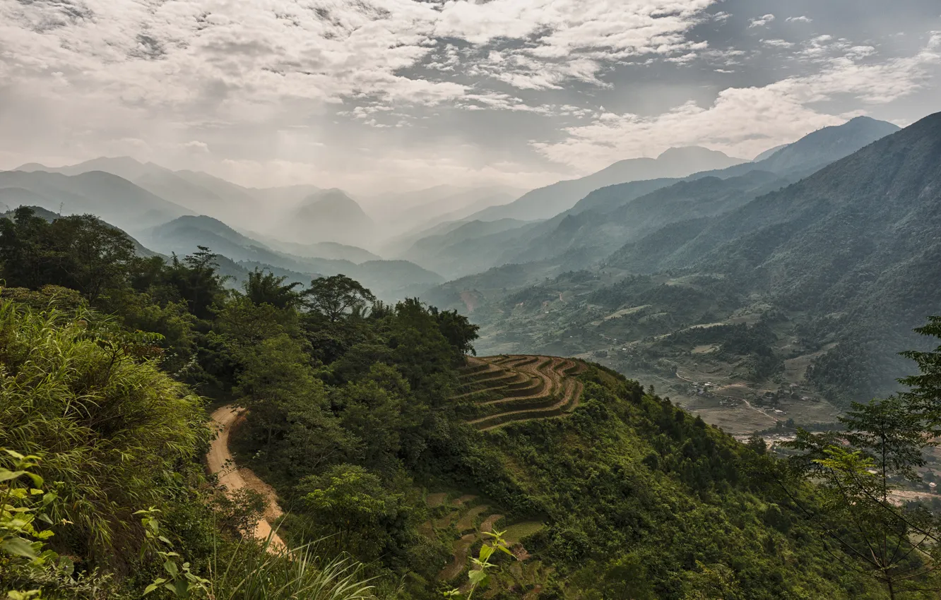 Photo wallpaper forest, mountains, fog, valley, Vietnam