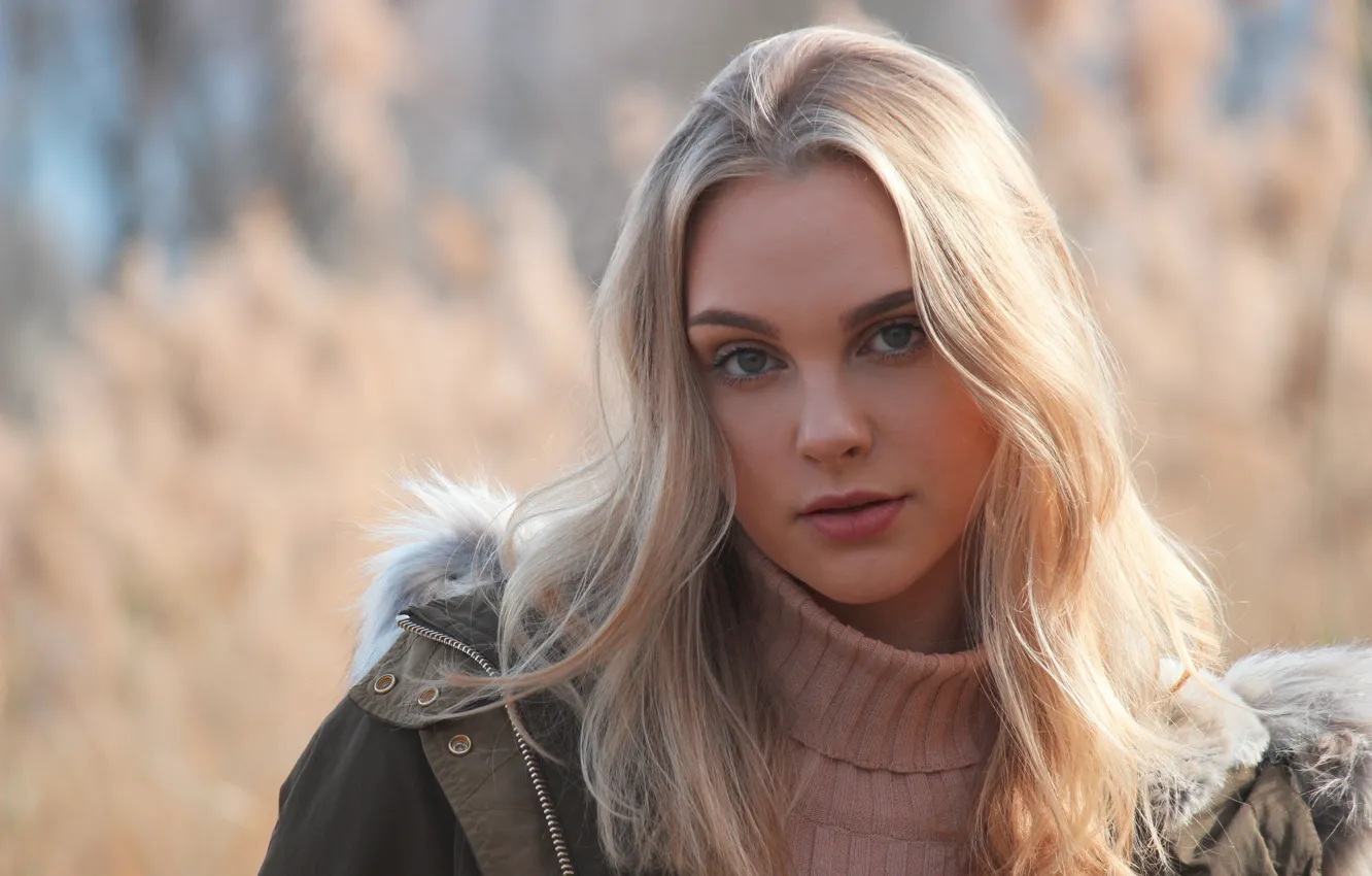 Photo wallpaper look, face, background, hair, beauty, Erika