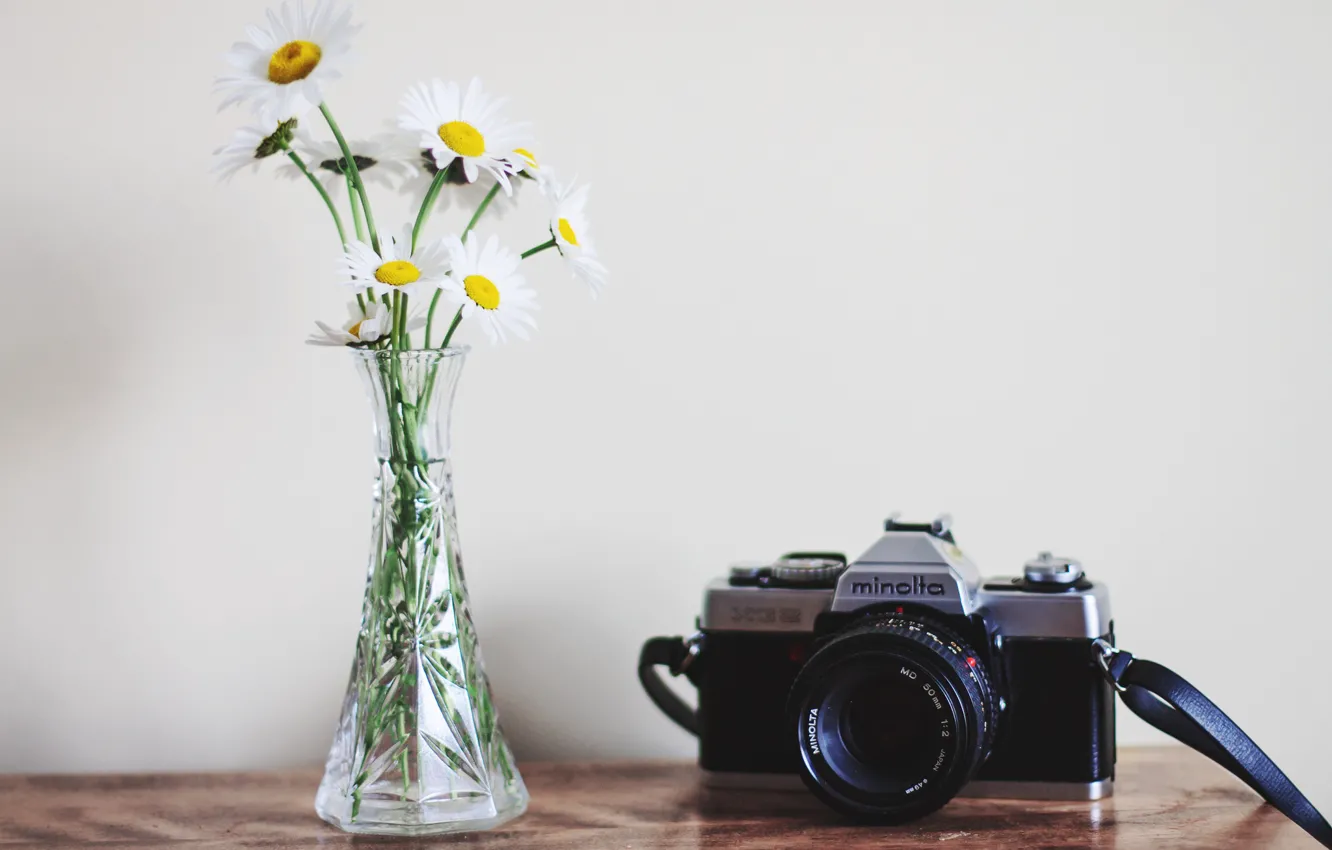 Photo wallpaper flowers, background, camera