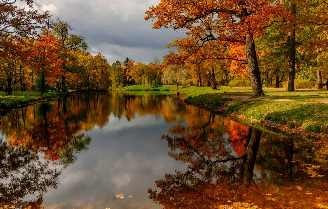 Photo wallpaper autumn, forest, the sky, leaves, water, clouds, trees, mountains