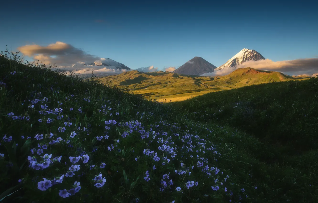 Photo wallpaper grass, clouds, landscape, flowers, mountains, nature, hills, the volcano