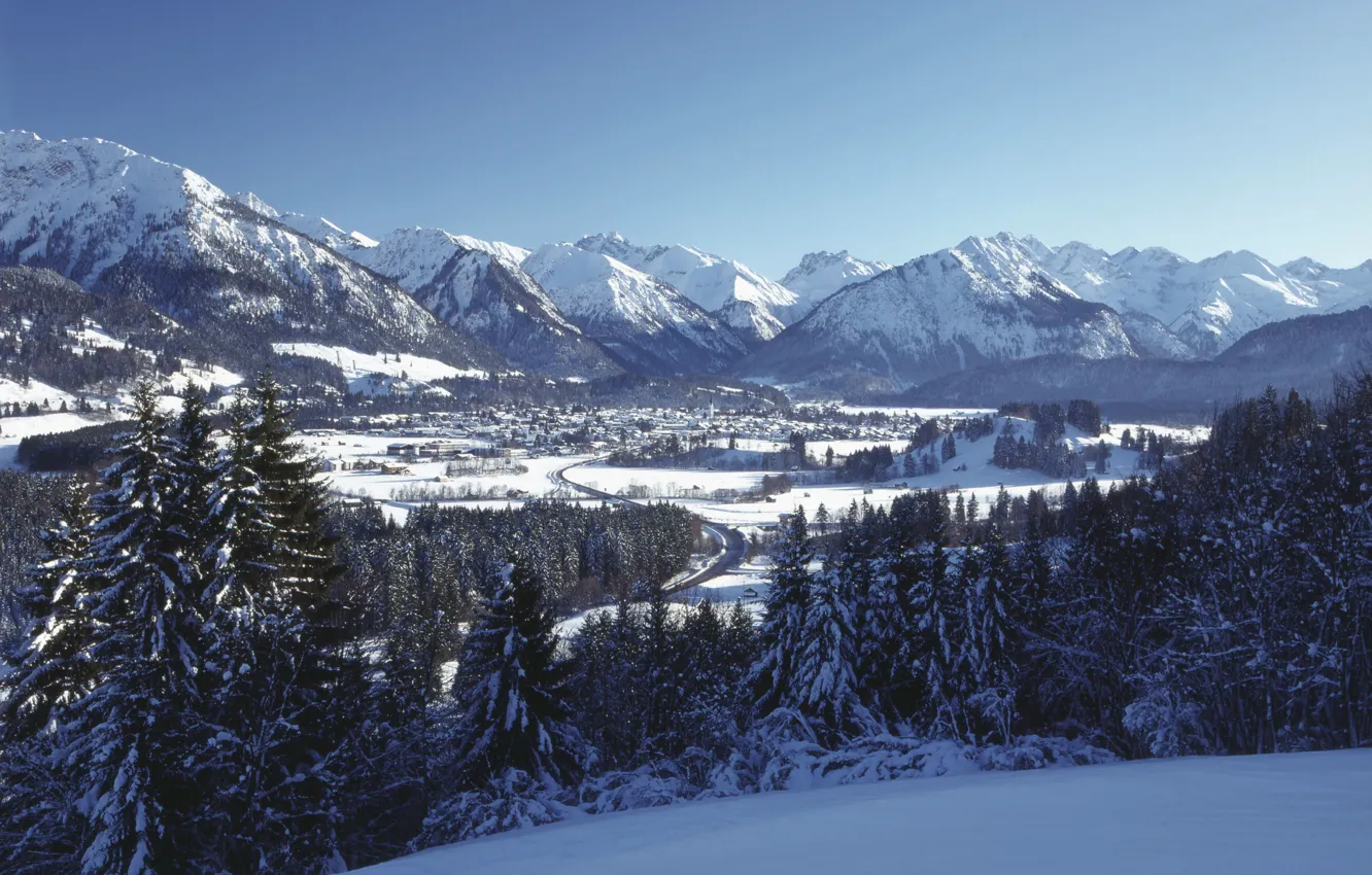 Photo wallpaper winter, the sky, snow, trees, ate