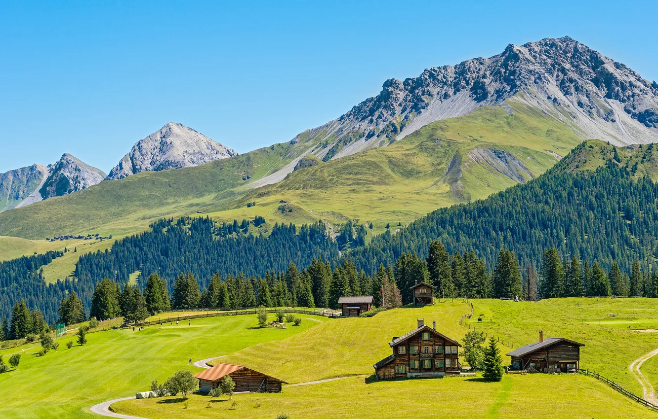 Photo wallpaper field, forest, mountains, slope, Alps, house