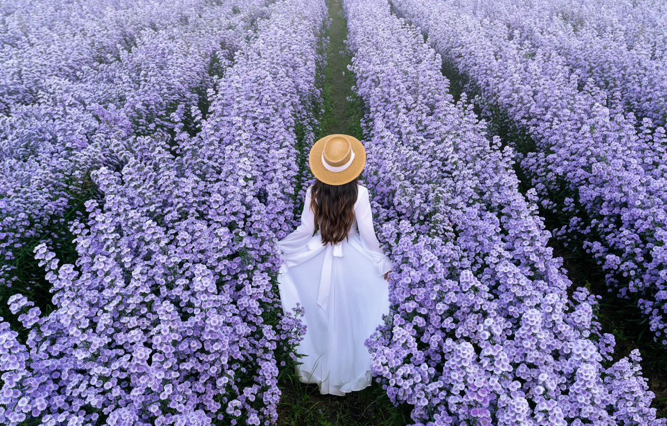Photo wallpaper field, girl, spring, girl, field, blossom, flowers, beautiful