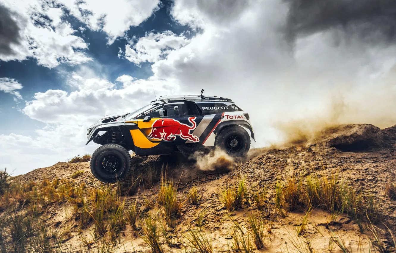 Photo wallpaper The sky, Sport, Speed, Race, Peugeot, Red Bull, Side, Rally