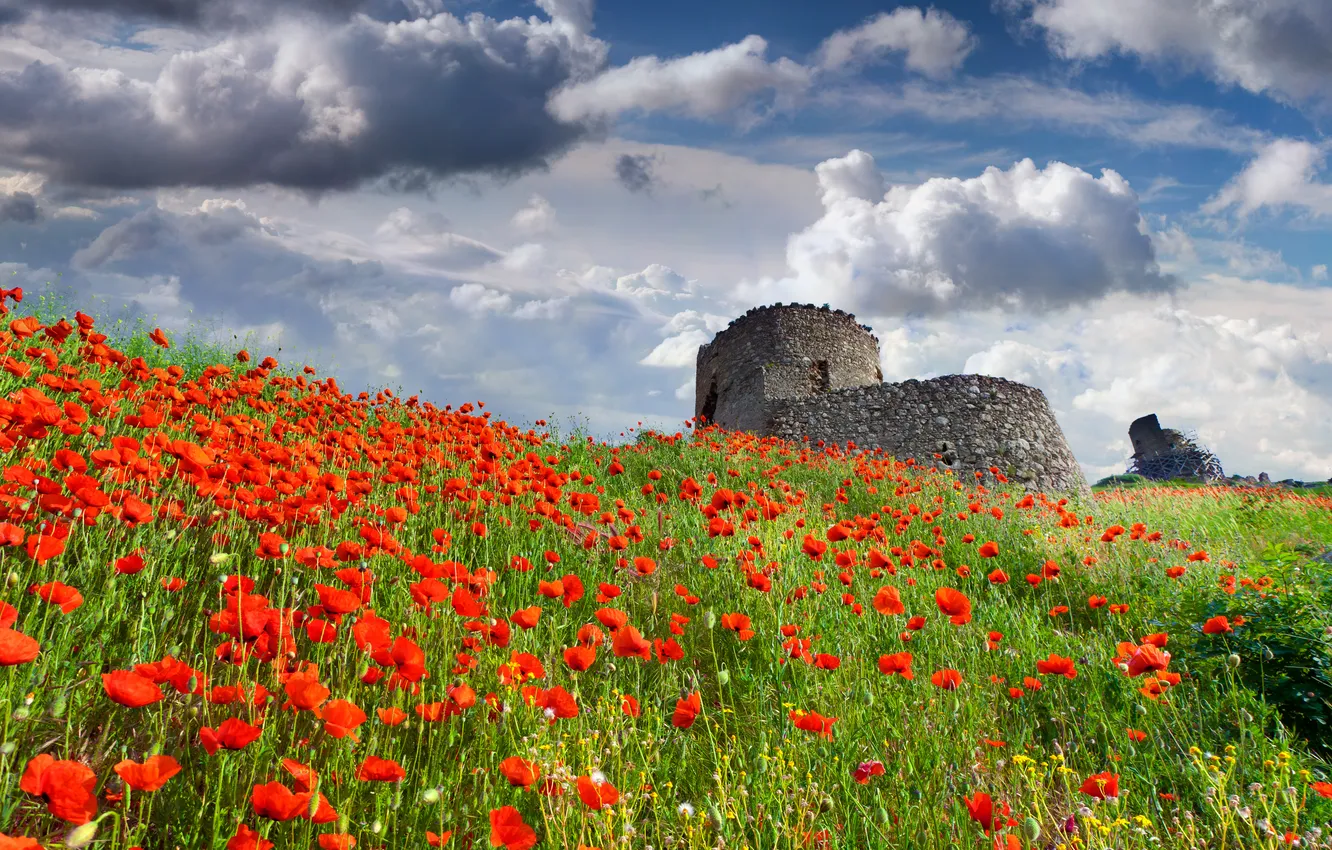 Photo wallpaper field, the sky, grass, nature, castle, Maki, nature