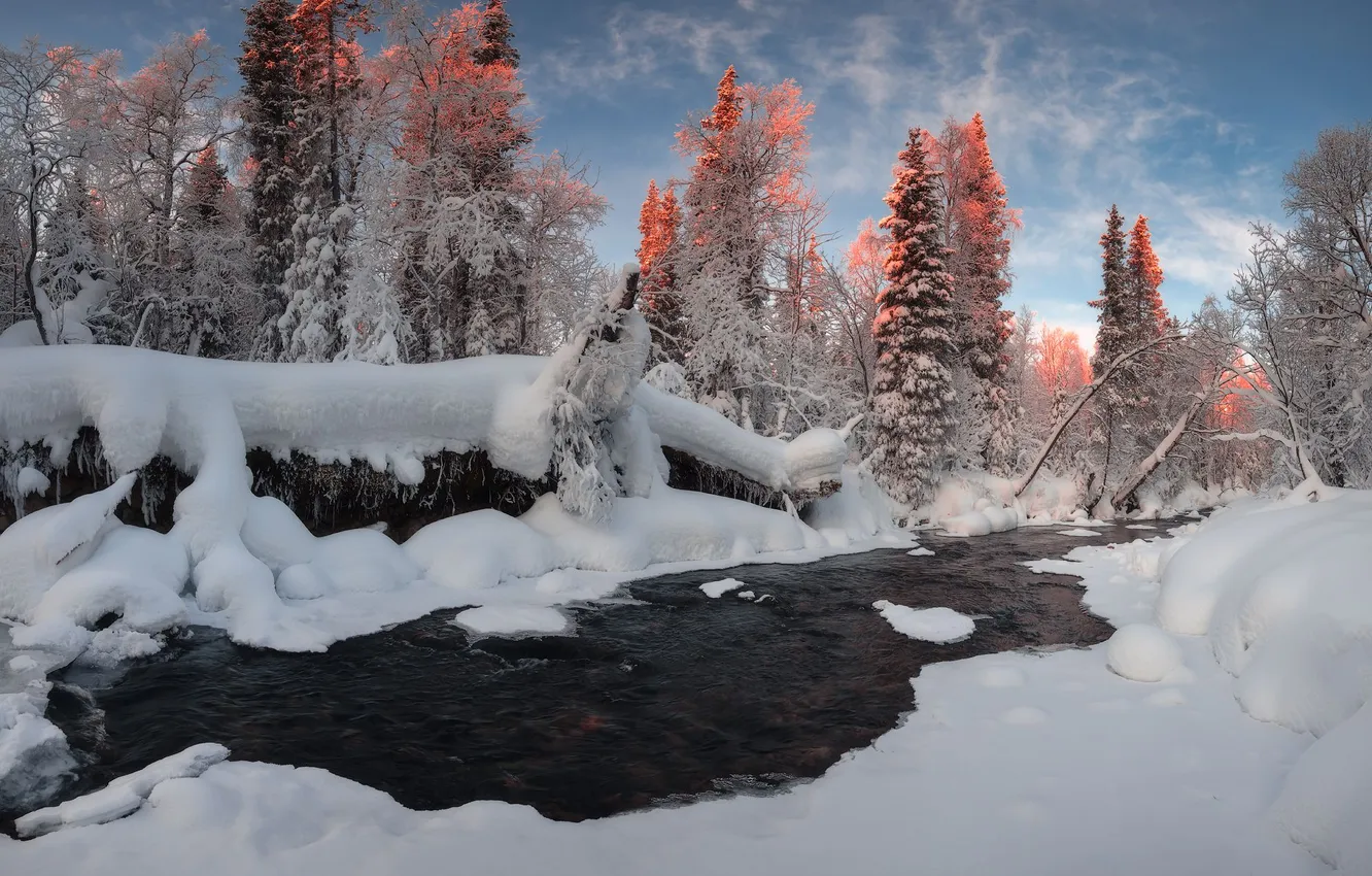 Photo wallpaper winter, snow, trees, river, Istomin Vitaly, Kola rivers