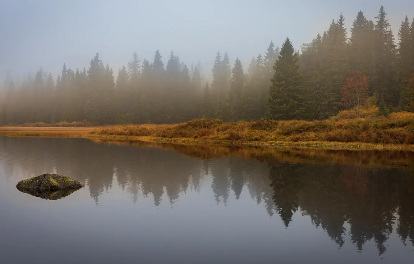Photo wallpaper autumn, forest, the sky, water, fog, lake, reflection, stones