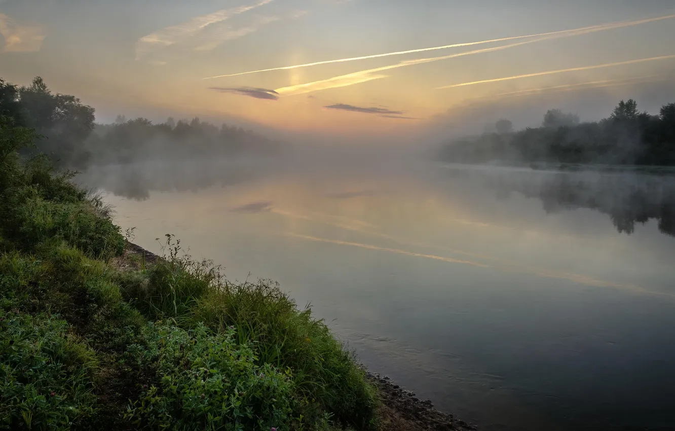 Photo wallpaper forest, the sky, grass, clouds, trees, landscape, sunset, nature