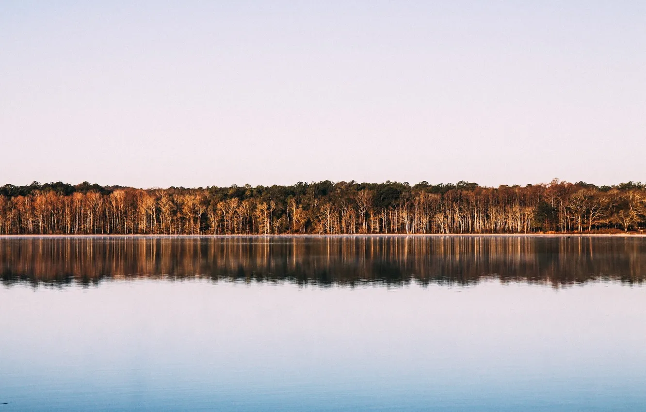 Photo wallpaper forest, the sky, trees, landscape, nature, lake, horizon, reflections in the water