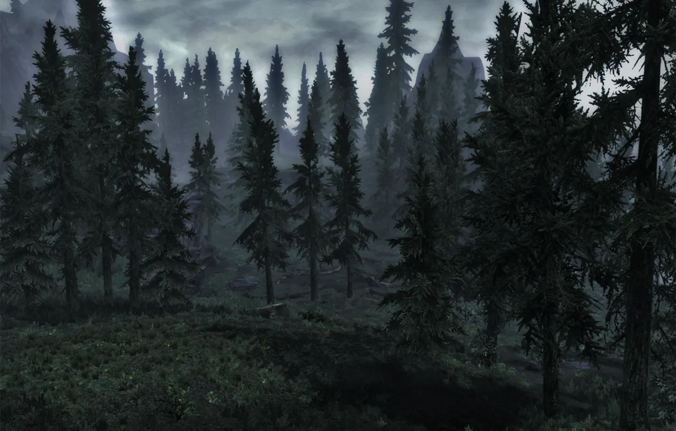 Photo wallpaper forest, mountains, ate, skyrim