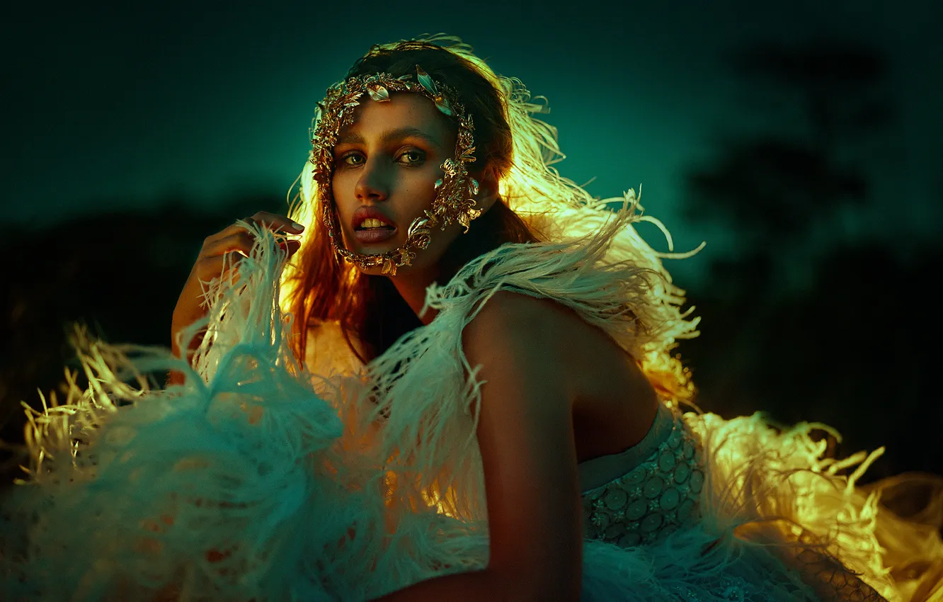 Photo wallpaper the sky, look, girl, light, decoration, night, pose, style