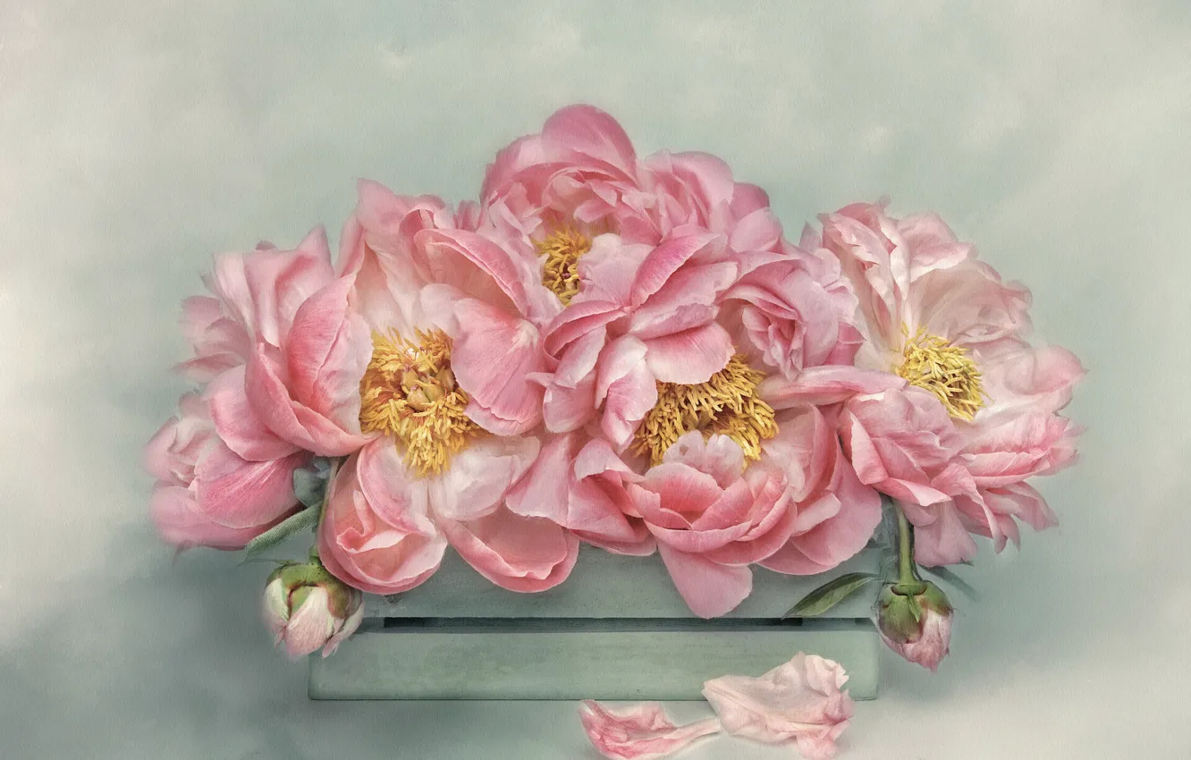 Photo wallpaper flowers, background, bouquet, petals, art, stamens, pink, box