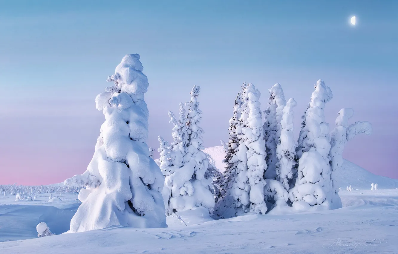 Photo wallpaper winter, snow, trees, landscape, nature, ate, Ural, UTR