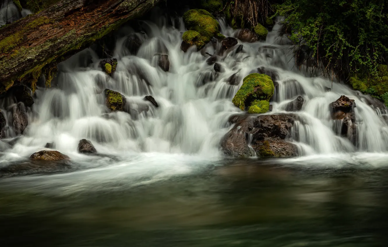 Photo wallpaper forest, rocks, shore, waterfall, stream
