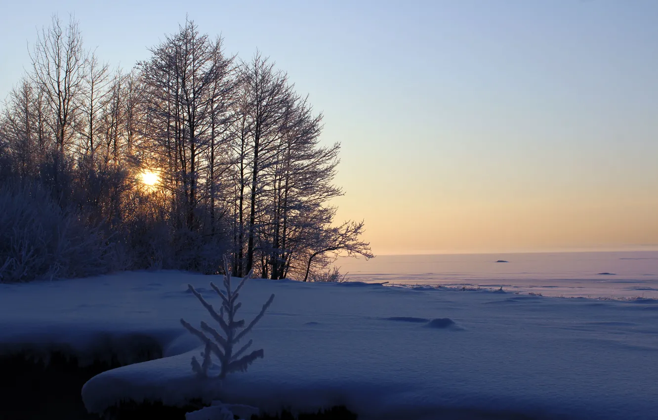 Photo wallpaper winter, snow, landscape, sunset, real photo