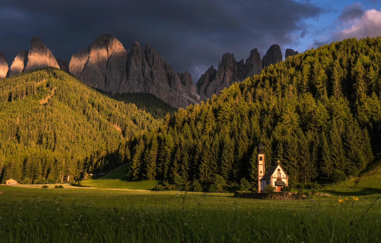 Photo wallpaper field, forest, summer, the sky, grass, light, mountains, clouds