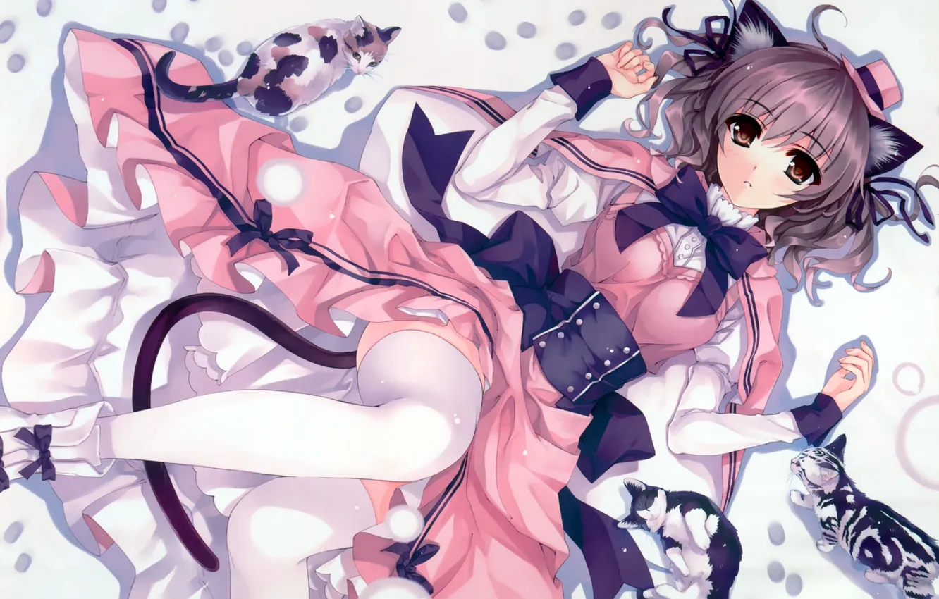 Photo wallpaper girl, cats, stockings, hat, anime, art, ears, misaki kurehito