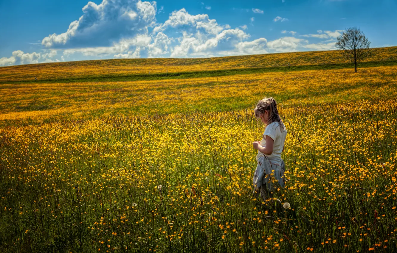 Photo wallpaper field, flowers, girl