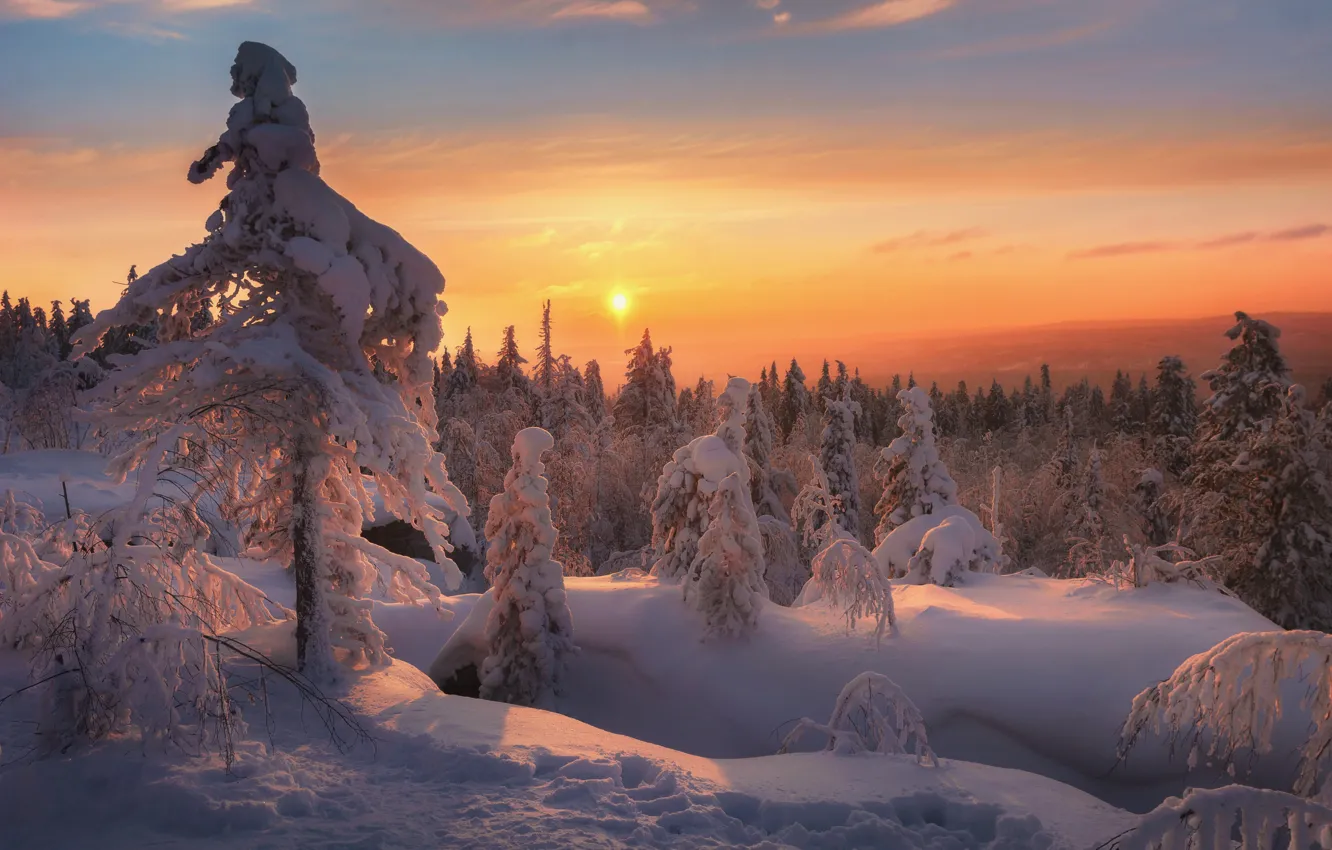Photo wallpaper winter, forest, snow, trees, landscape, sunset, nature, ate