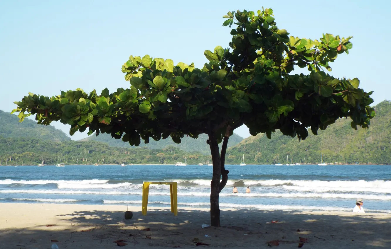 Photo wallpaper Brazil, Ubatuba, Estaleiro Beach