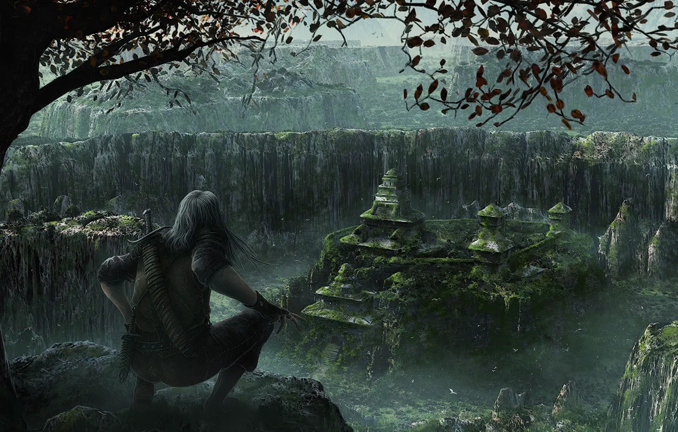 Photo wallpaper jungle, temple, thief
