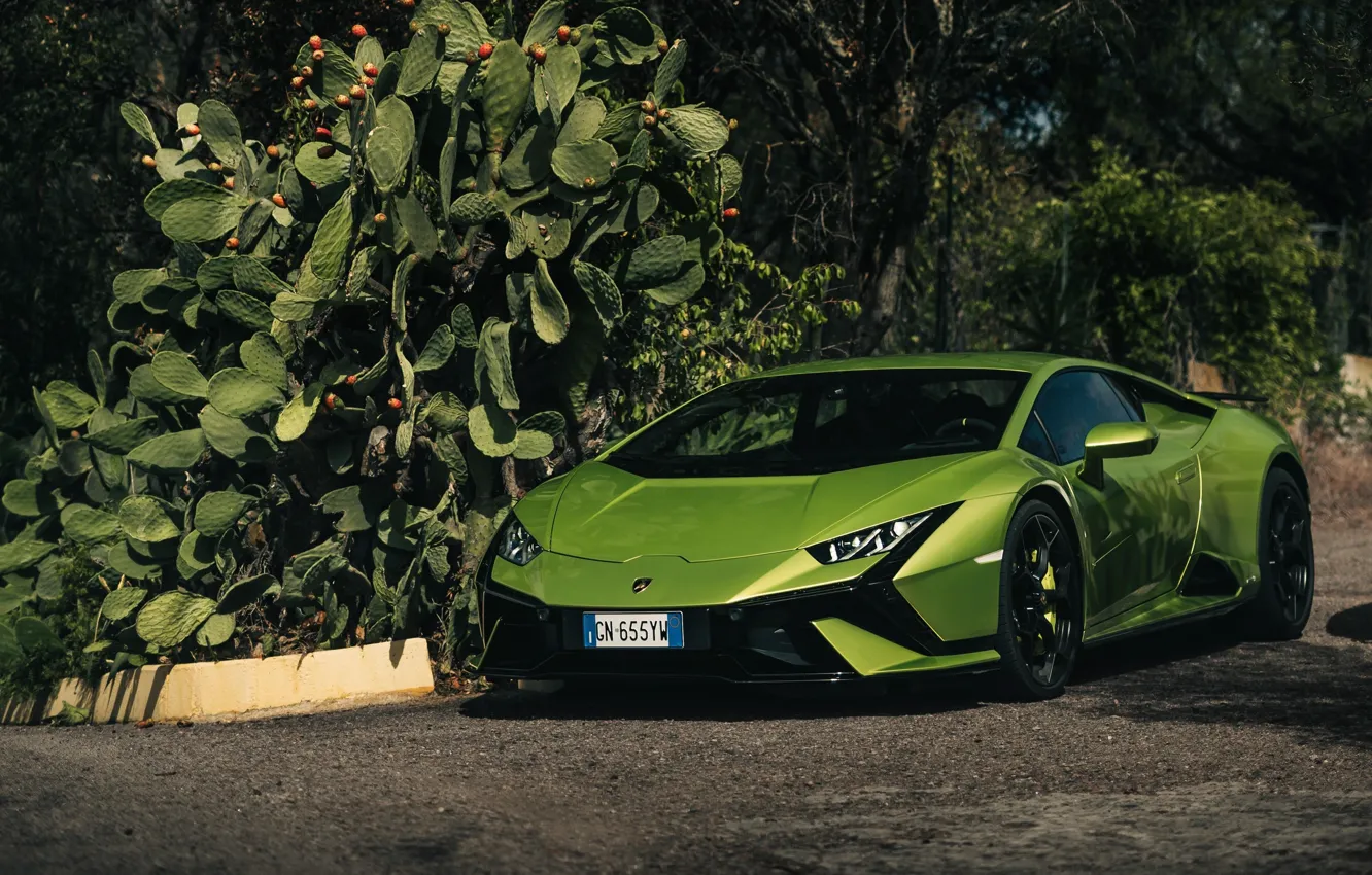 Photo wallpaper green, Lamborghini, supercar, cactus, Huracan, Lamborghini Huracan Tecnica