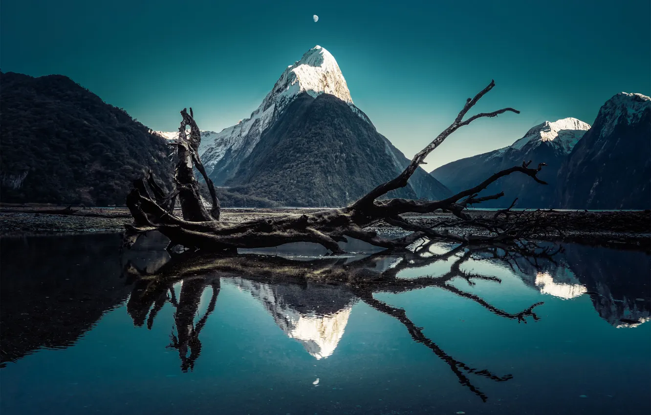 Photo wallpaper landscape, mountains, lake, reflection, snag