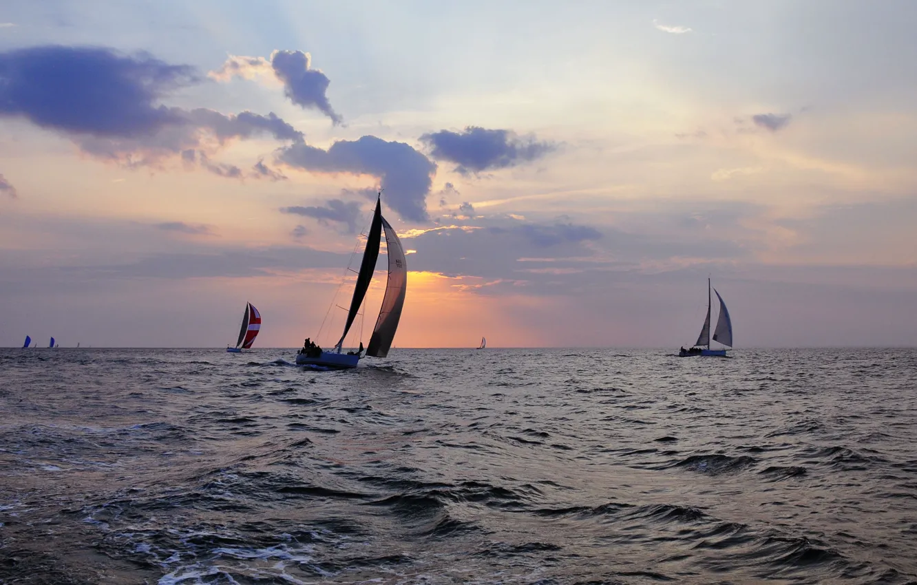 Photo wallpaper sea, sport, the evening, team, training, racing boats, sports sailing boats