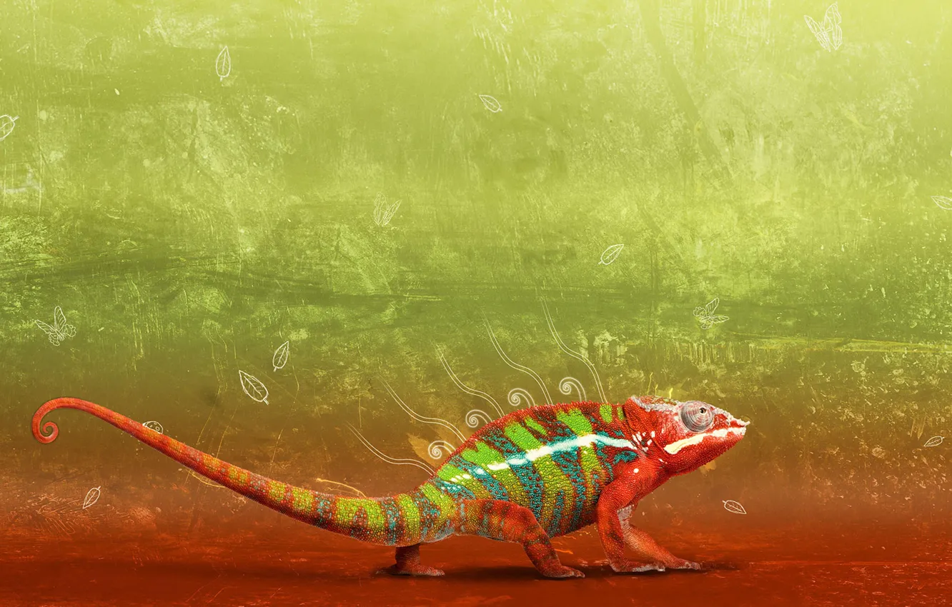 Photo wallpaper chameleon, colored, photoshop