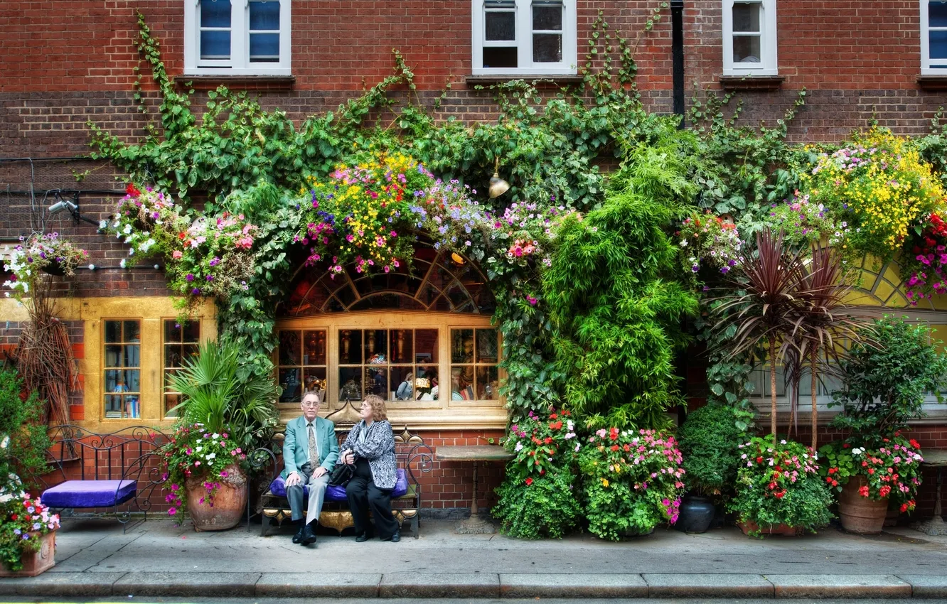 Photo wallpaper windows, white, flowers, people, plants, sidewalk, building bricks