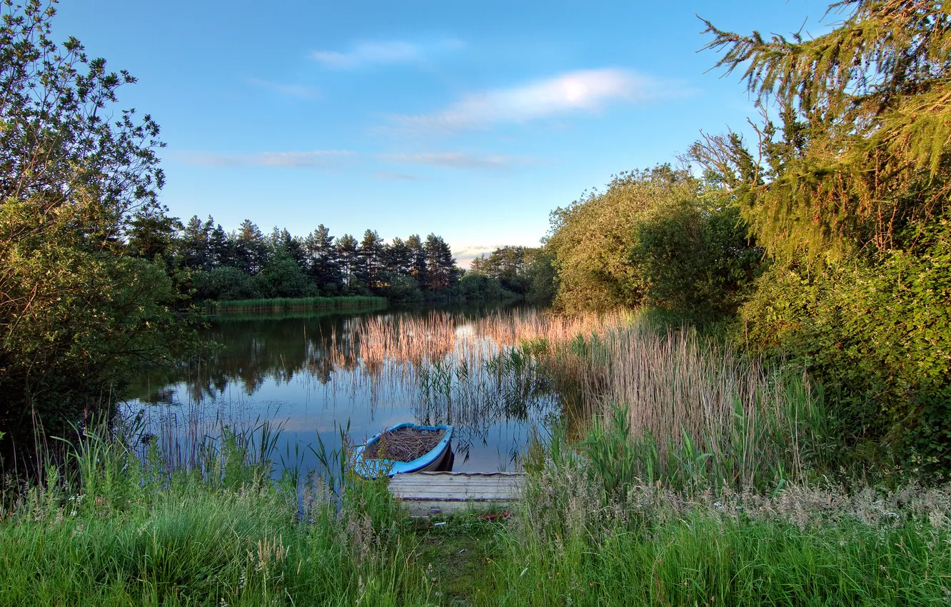 Photo wallpaper forest, lake, boat, the evening