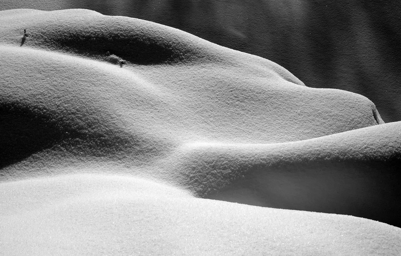 Photo wallpaper winter, snow, nature, Shine, the snow