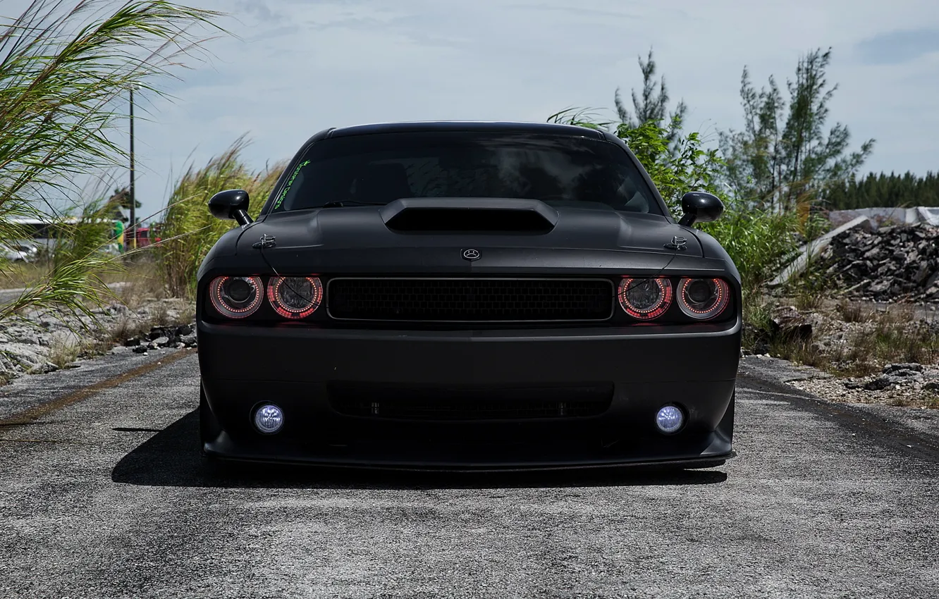 Photo wallpaper car, black, Matt, dodge challenger, tuning, muscle car, srt8, the front