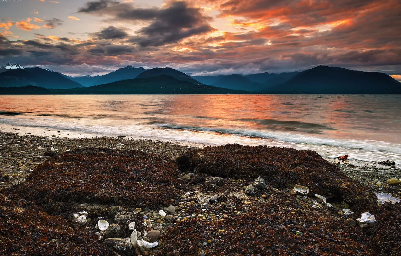 Photo wallpaper sea, beach, algae, sunset, mountains, pebbles