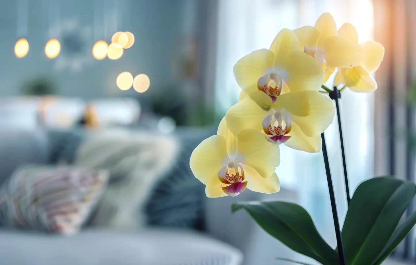 Photo wallpaper leaves, flowers, yellow, room, sofa, interior, pillow, window