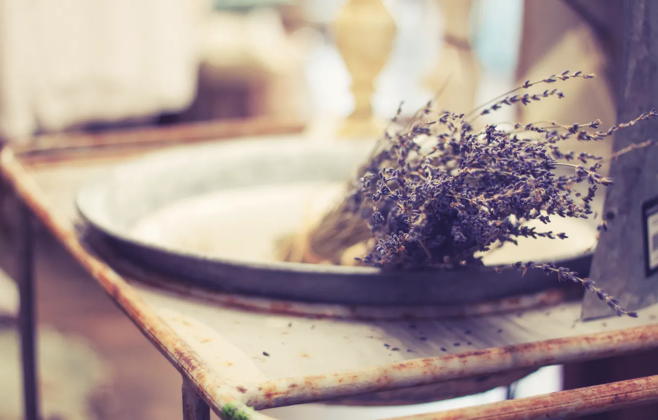 Photo wallpaper flowers, lavender, lilac