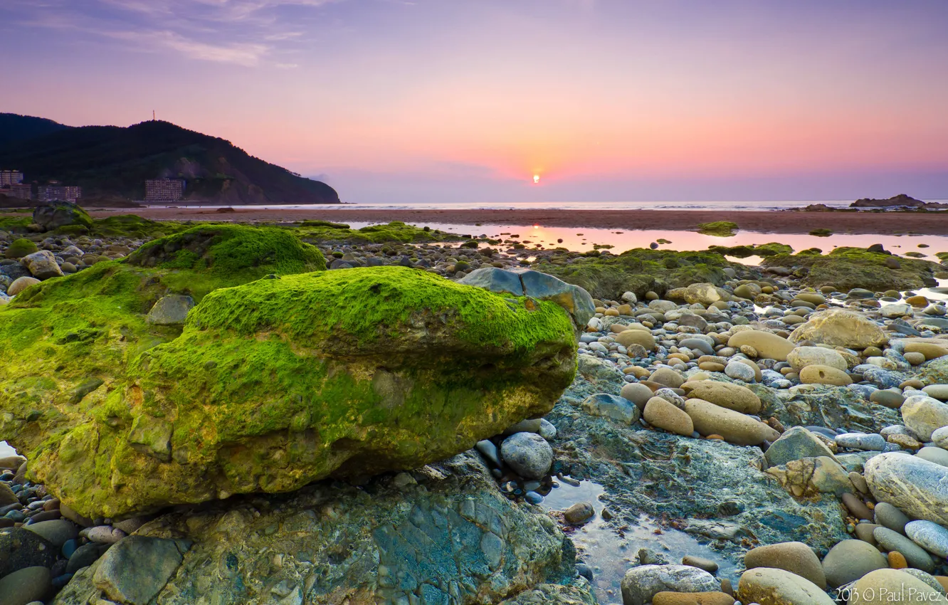 Photo wallpaper sea, algae, stones, dawn, stone, morning