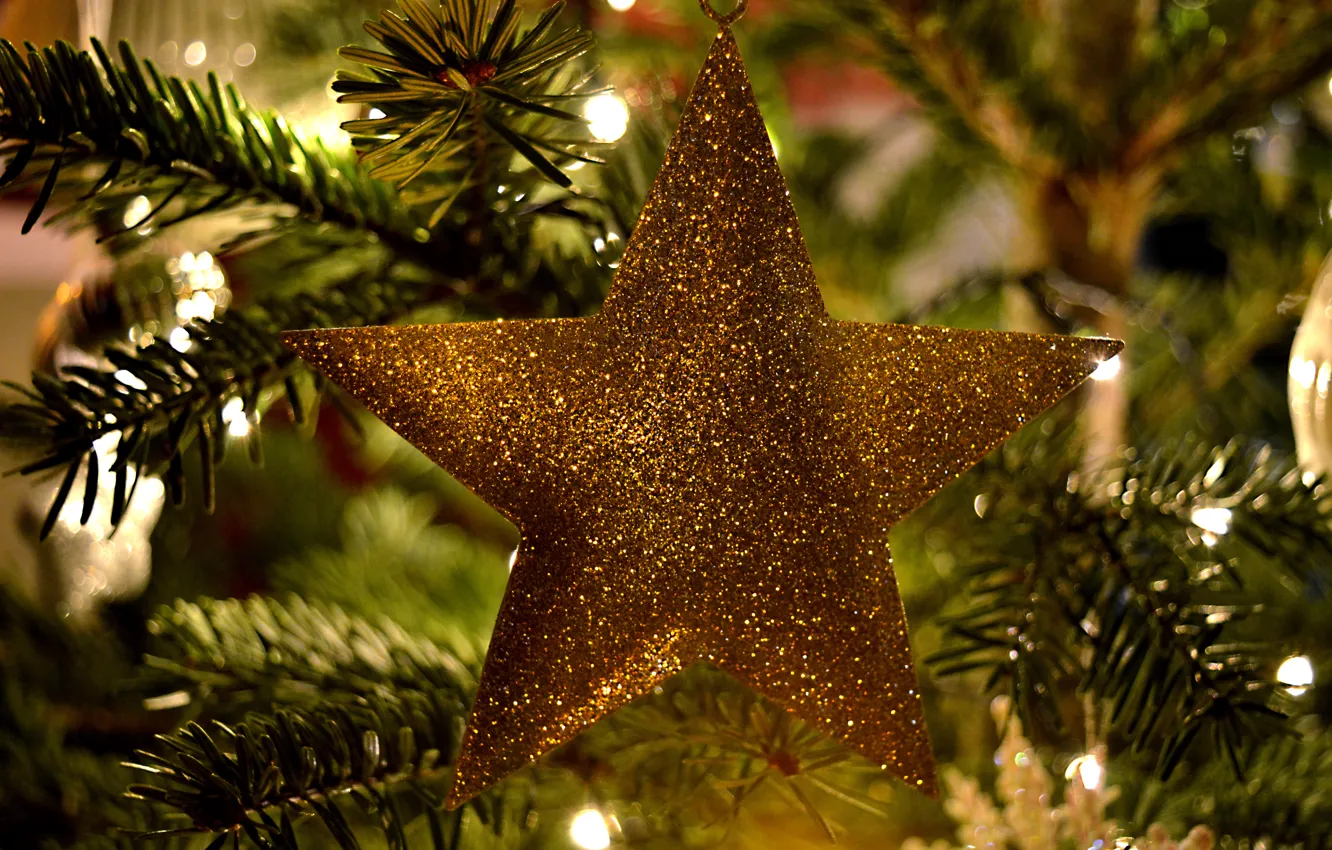 Photo wallpaper holiday, star, Christmas, New year, needles, Christmas decorations, new year decorations