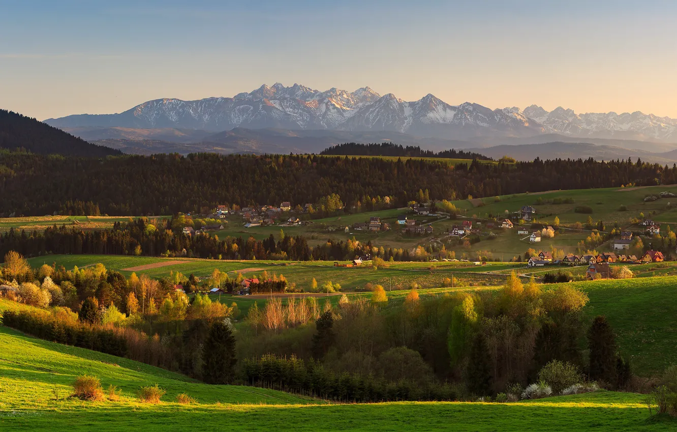 Photo wallpaper greens, field, autumn, forest, light, trees, landscape, mountains